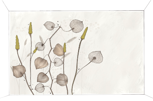 Entwurf für Wandmalerei von jotty, die Wandgestalterin. Gräser und Physalispflanzen in beige und ocker
